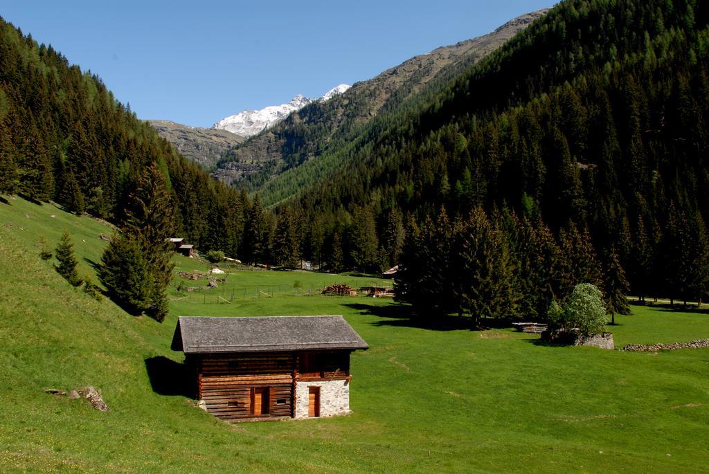 Alpen Hotel Rabbi Exterior photo